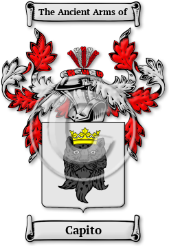 Capito Family Crest Download (jpg) Legacy Series - 150 DPI