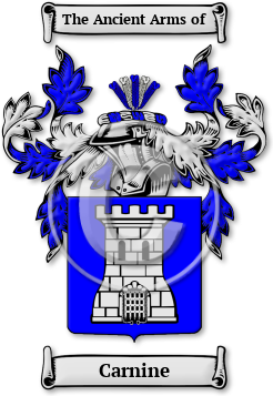 Carnine Family Crest Download (jpg) Legacy Series - 150 DPI