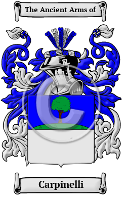 Carpinelli Family Crest/Coat of Arms