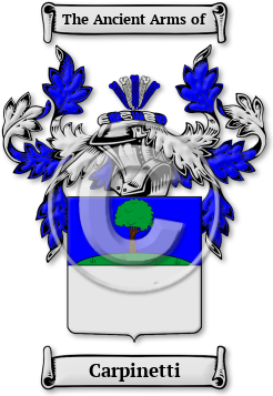Carpinetti Family Crest Download (jpg) Legacy Series - 150 DPI
