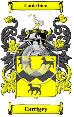 Carrigey Family Crest/Coat of Arms
