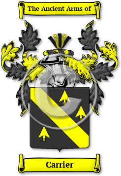 Carrier Family Crest Download (JPG) Legacy Series - 600 DPI