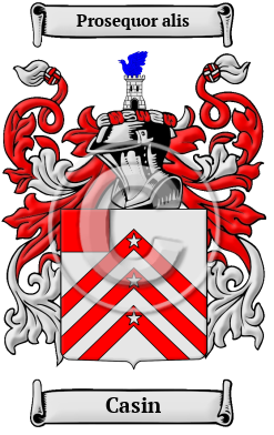 Casin Family Crest/Coat of Arms