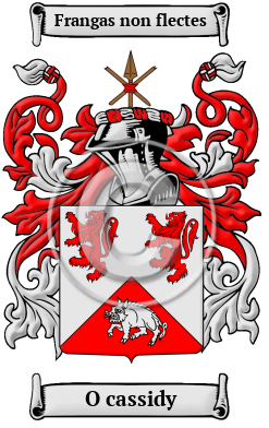O cassidy Family Crest Download (JPG) Heritage Series - 300 DPI