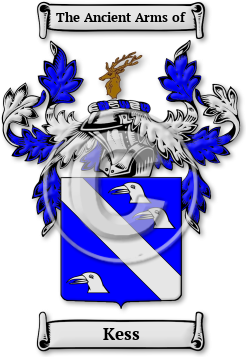 Kess Family Crest Download (JPG) Legacy Series - 600 DPI
