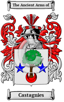 Castagnies Family Crest/Coat of Arms