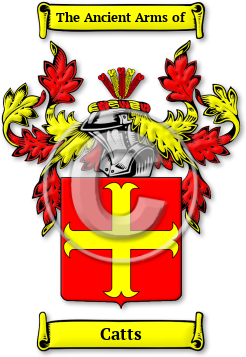 Catts Family Crest Download (JPG) Legacy Series - 600 DPI