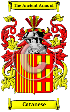 Catanese Family Crest/Coat of Arms