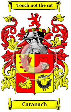 Catanach Family Crest/Coat of Arms