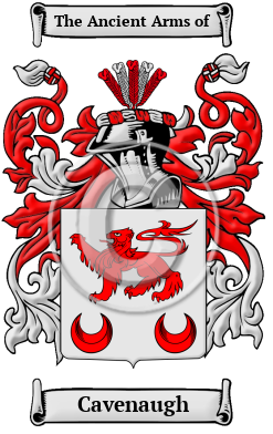 Cavenaugh Family Crest/Coat of Arms