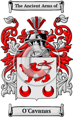 O'Cavanas Family Crest/Coat of Arms