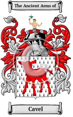 Cavel Family Crest/Coat of Arms