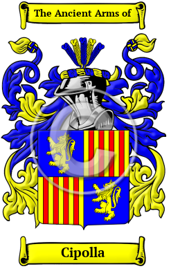 Cipolla Family Crest/Coat of Arms