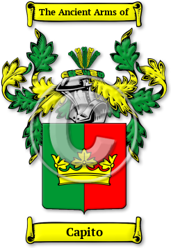 Capito Family Crest Download (jpg) Legacy Series - 150 DPI