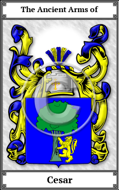 Cesar Family Crest Download (JPG)  Book Plated - 150 DPI