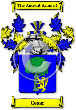 Cesar Family Crest Download (jpg) Legacy Series - 150 DPI