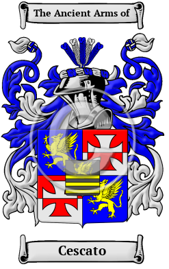 Cescato Family Crest/Coat of Arms