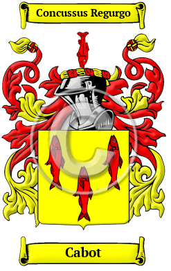 Cabot Family Crest/Coat of Arms