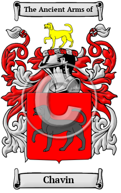 Chavin Family Crest/Coat of Arms