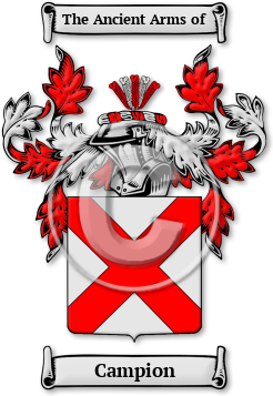 Campion Family Crest Download (JPG) Legacy Series - 600 DPI