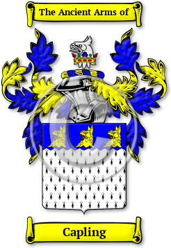 Capling Family Crest Download (jpg) Legacy Series - 150 DPI
