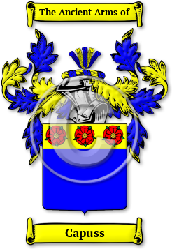 Capuss Family Crest Download (jpg) Legacy Series - 150 DPI