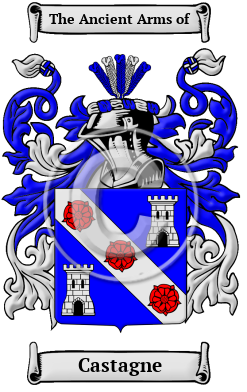 Castagne Family Crest/Coat of Arms