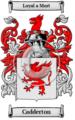 Cadderton Family Crest/Coat of Arms