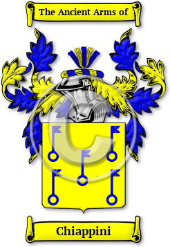 Chiappini Family Crest Download (JPG) Legacy Series - 600 DPI