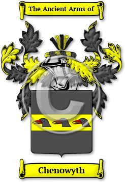 Chenowyth Family Crest Download (jpg) Legacy Series - 150 DPI