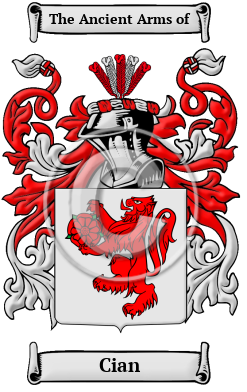 Cian Name Meaning, Family History, Family Crest & Coats of Arms
