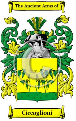 Ciccaglioni Family Crest/Coat of Arms