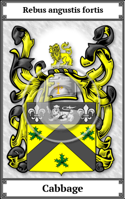 Cabbage Family Crest Download (JPG)  Book Plated - 150 DPI