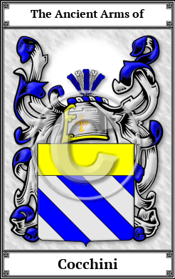 Cocchini Family Crest Download (JPG)  Book Plated - 150 DPI