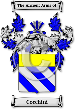 Cocchini Family Crest Download (jpg) Legacy Series - 150 DPI