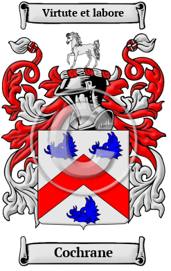 Cochrane Family Crest/Coat of Arms