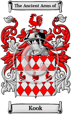 Kook Family Crest/Coat of Arms