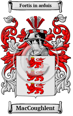 MacCoughlent Family Crest/Coat of Arms