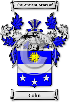 Cohn Family Crest Download (JPG) Legacy Series - 600 DPI