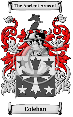 Colehan Family Crest/Coat of Arms
