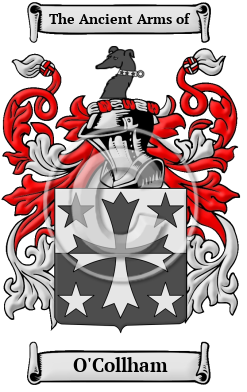 O'Collham Family Crest/Coat of Arms