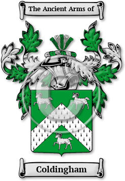 Coldingham Family Crest Download (jpg) Legacy Series - 150 DPI