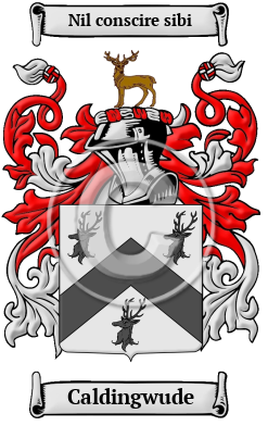 Caldingwude Family Crest/Coat of Arms