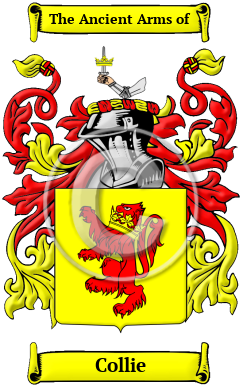 Collie Family Crest/Coat of Arms