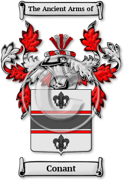 Conant Family Crest Download (JPG) Legacy Series - 600 DPI