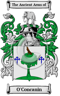 O'Concanin Family Crest/Coat of Arms