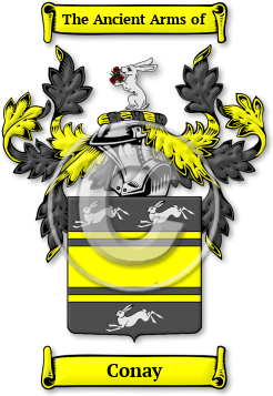 Conay Family Crest Download (jpg) Legacy Series - 150 DPI