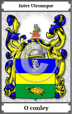 O conley Family Crest Download (JPG)  Book Plated - 150 DPI