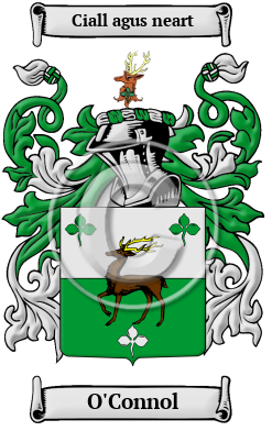 O'Connol Family Crest/Coat of Arms