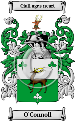O'Connoll Family Crest/Coat of Arms